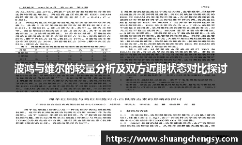波鸿与维尔的较量分析及双方近期状态对比探讨