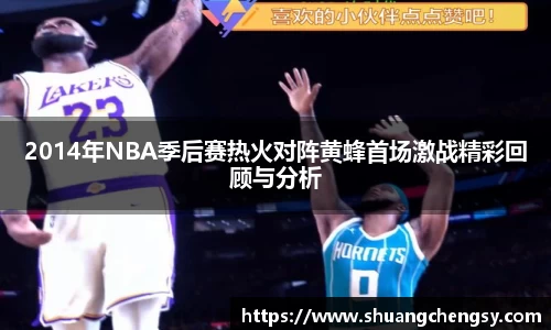 2014年NBA季后赛热火对阵黄蜂首场激战精彩回顾与分析