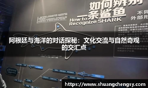 阿根廷与海洋的对话探秘：文化交流与自然奇观的交汇点