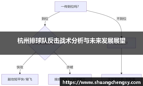 杭州排球队反击战术分析与未来发展展望