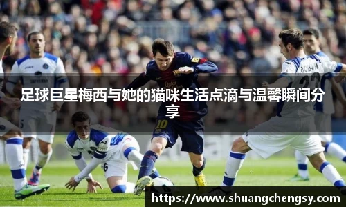 足球巨星梅西与她的猫咪生活点滴与温馨瞬间分享